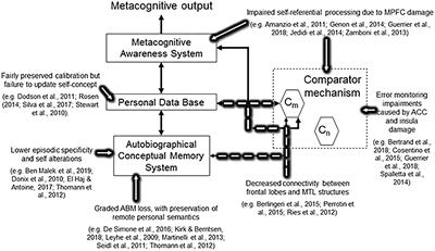 The Petrified Self 10 Years After: Current Evidence for Mnemonic anosognosia